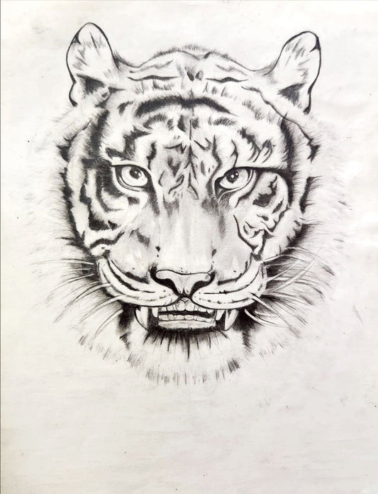 Tiger Portrait